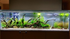 550l - Naturalne 2m wody - Michał