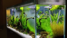550l - Naturalne 2m wody - Michał