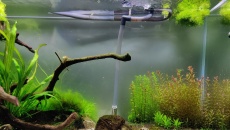 550l - Naturalne 2m wody - Michał