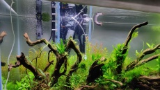 550l - Naturalne 2m wody - Michał