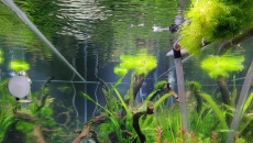 550l - Naturalne 2m wody - Michał