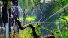 550l - Naturalne 2m wody - Michał