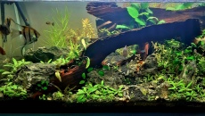 360l - VIV/Nature? - Krzysztof