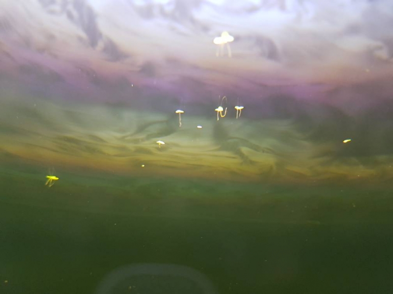 20210627_185731.jpg