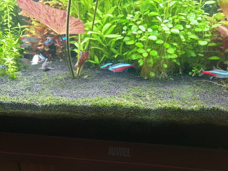 20210630_163233.jpg