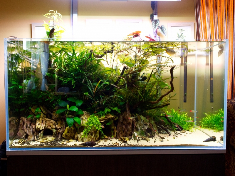 P7130021.jpg