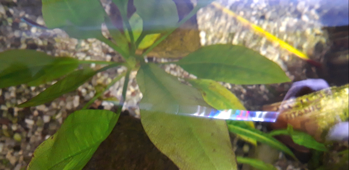Screenshot_20210807-112439_Gallery.jpg