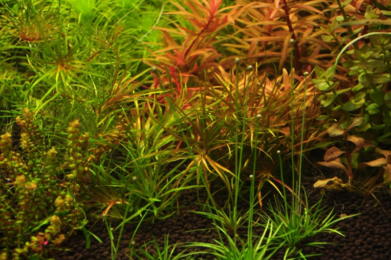 DSC_0760.jpg