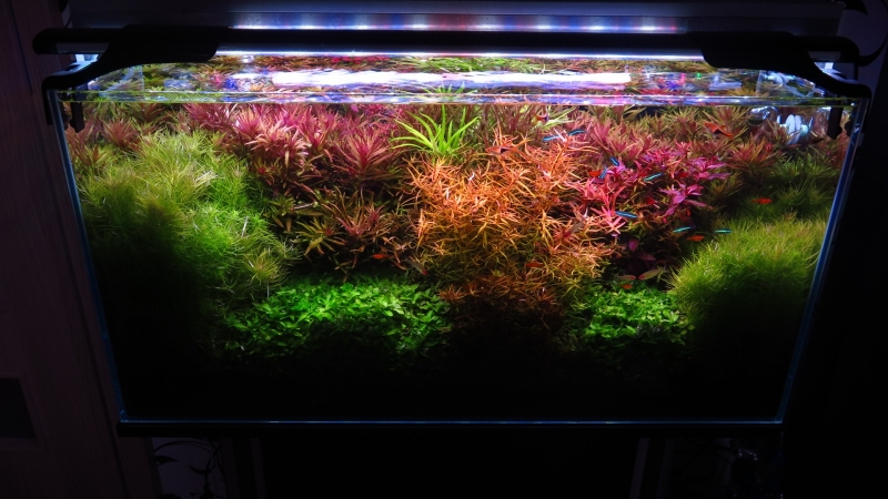 IMG_6713.JPG