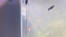 Akrylowe rurki NEO