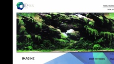 The International Aquatic Plants Layout Contest 2021