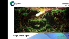 The International Aquatic Plants Layout Contest 2021