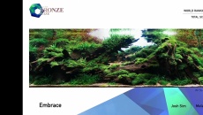 The International Aquatic Plants Layout Contest 2021
