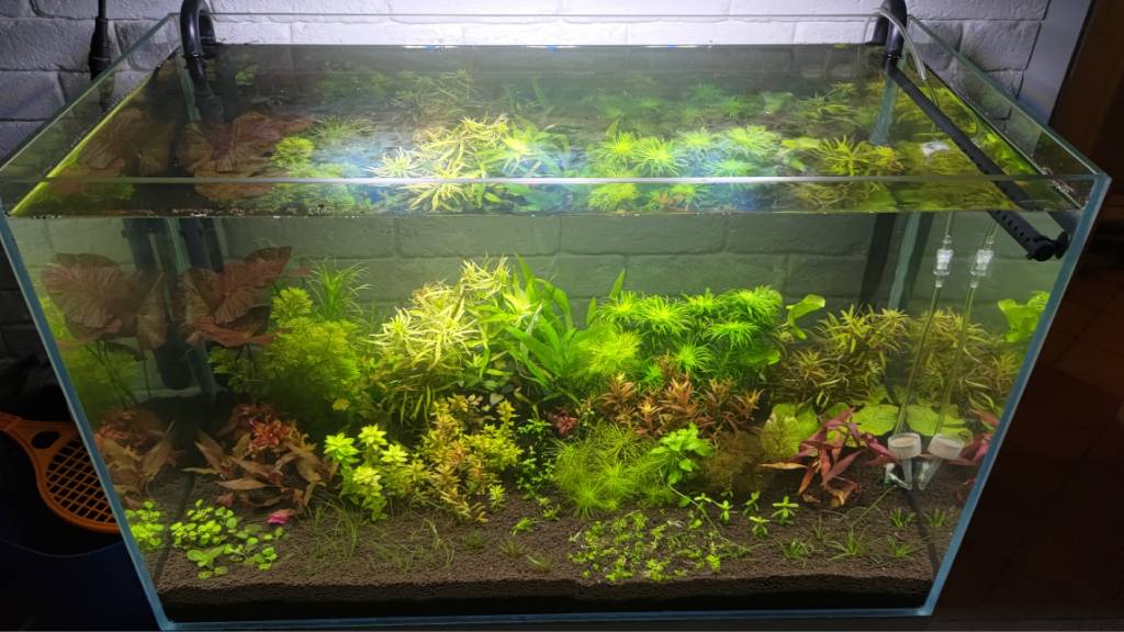 P_20211009_193817.jpg