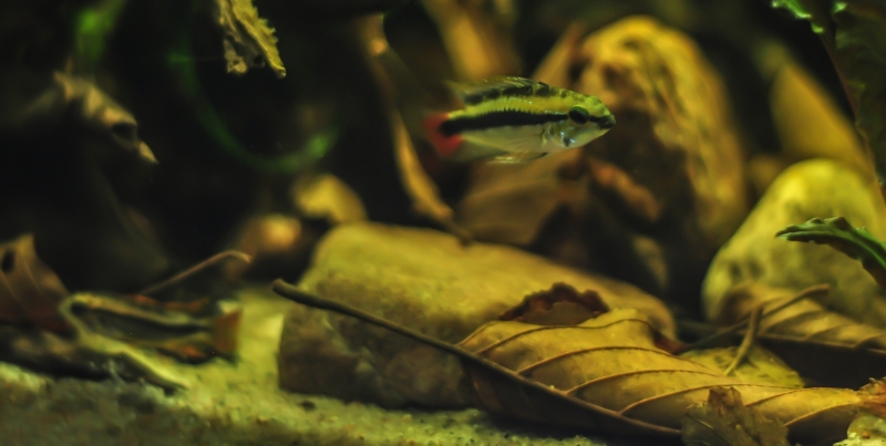 DSC_1143.jpg