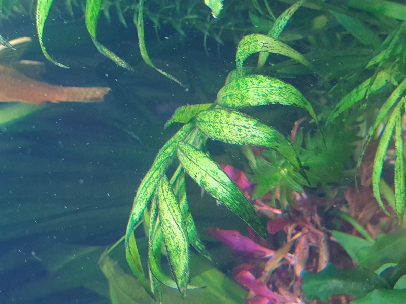 20211026_185113.jpg