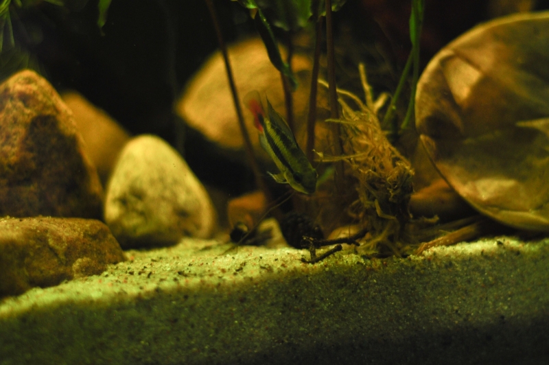 DSC_1401.jpg