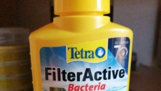 2 tygodniowe akwarium 60l problem z glonami
