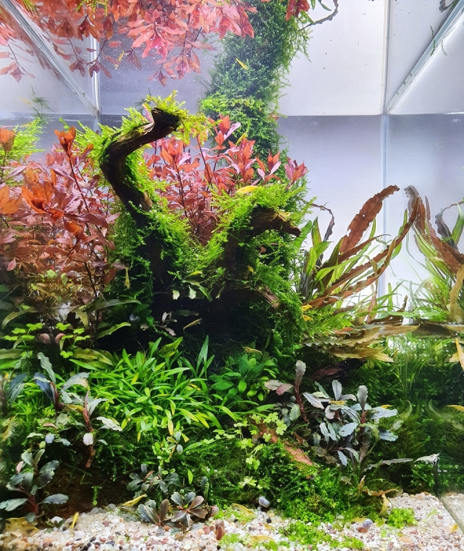20210727_063443.jpg