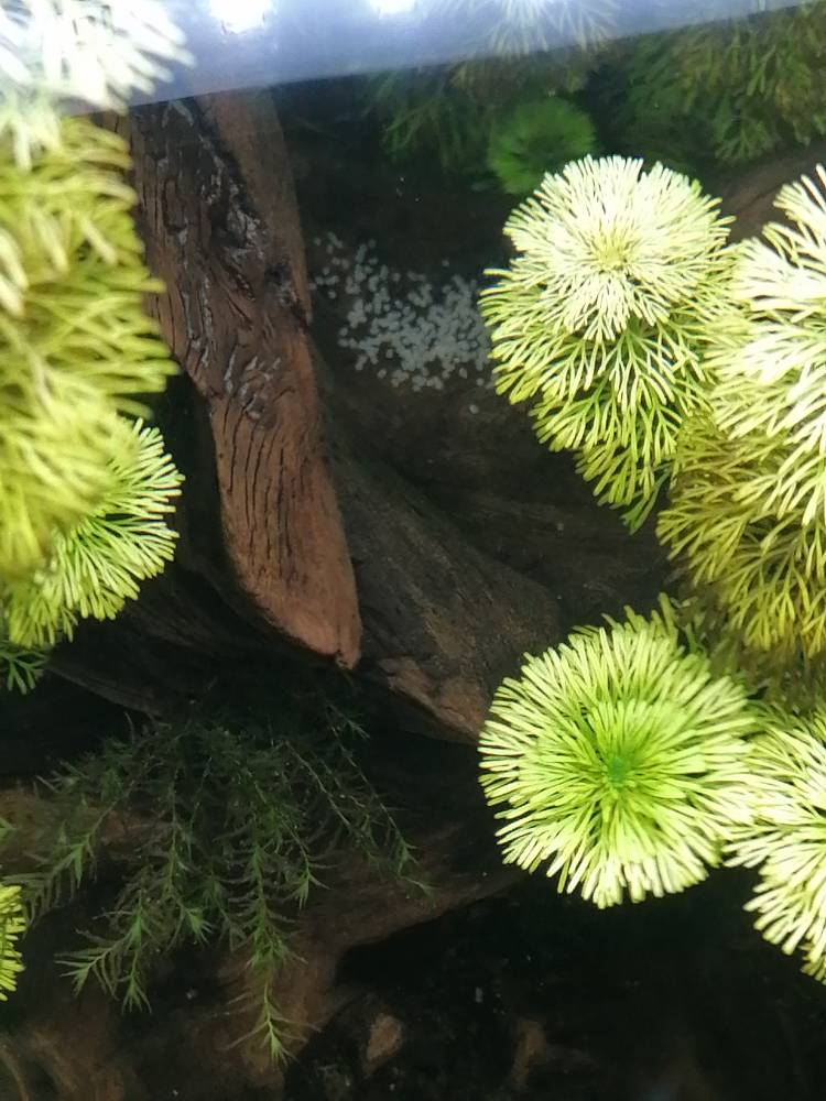 JPEG_20211125_213341_6133377767485967720.jpg