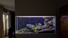 450l - Akwarium 150x50x60 12 mm