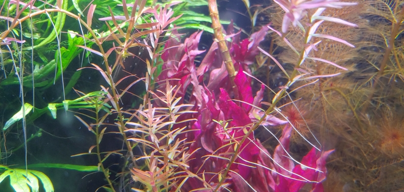 20220102_124500_HDR.jpg