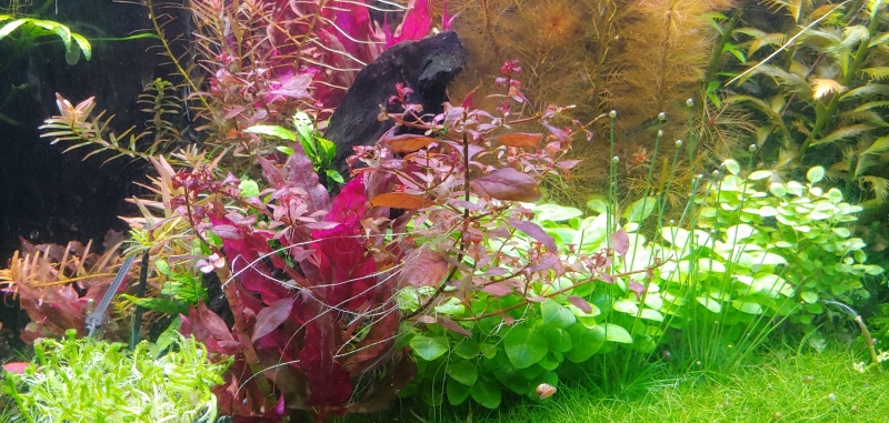 20220102_124449_HDR.jpg