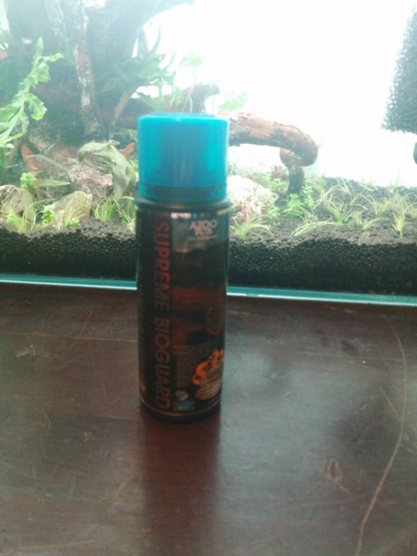 JPEG_20220106_150839_4469104248082323290.jpg