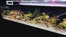 Akwarium 160 x 60 x 40