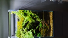Sprzedam Dooa System Terra 30