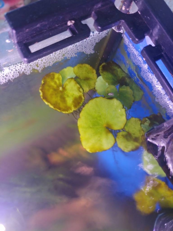20220120_094218.jpg