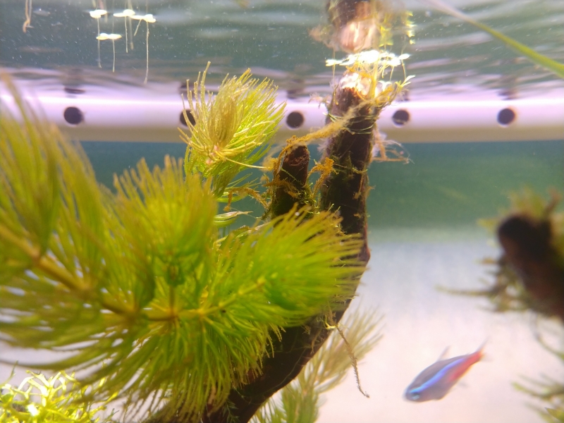 20220119_221527.jpg