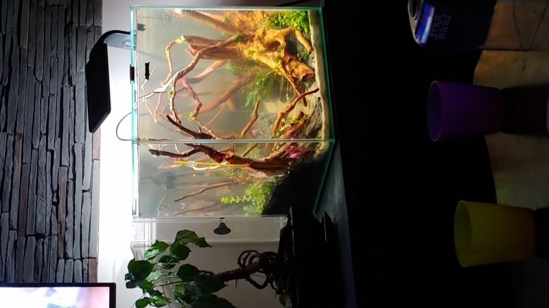 20220120_213303_HDR.jpg