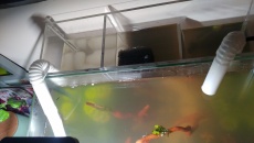 Pomocy sump nie zaciaga wody