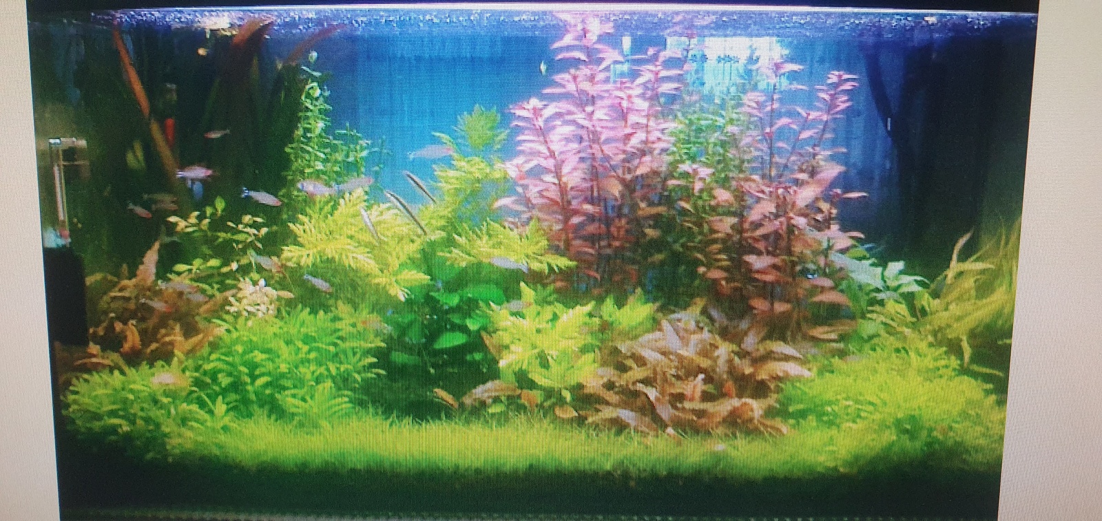 20220114_183451.jpg