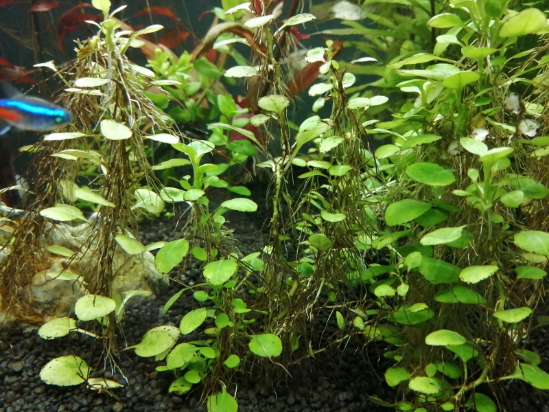 IMG_20220127_114710.jpg