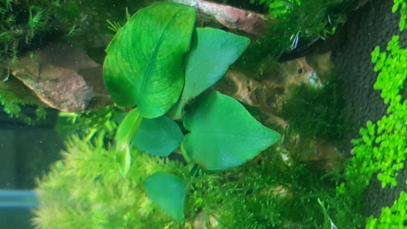 20220129_165551.jpg