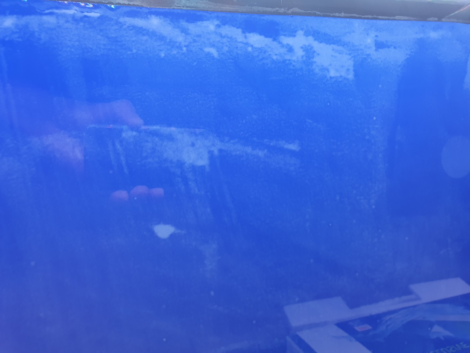 20220129_212533.jpg