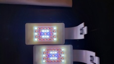 Aquael Leddy Smart 2 (plant i sunny)
