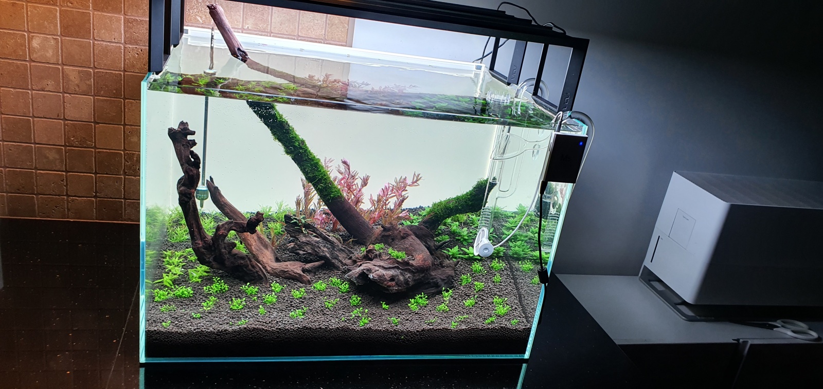 Akwarium 108l.jpg