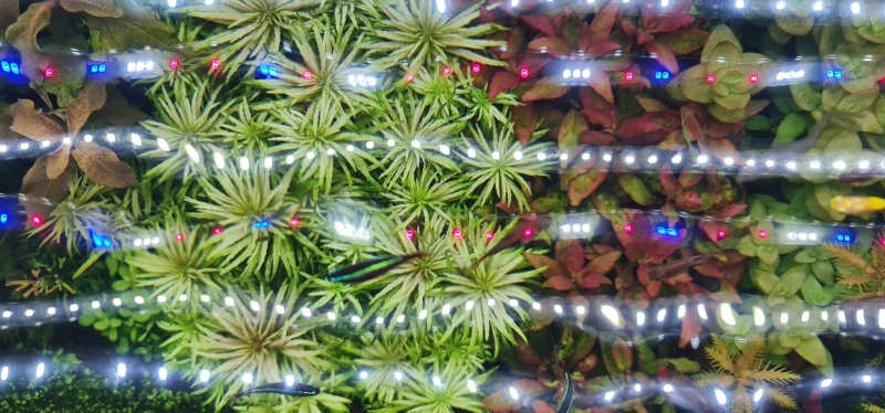 20220215_135317.jpg
