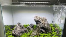 Wymagania w "szklance", pomocy!
