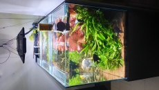 Sprzedam akwarium optiwhite 882 l (180x70x70) + sump 192 l