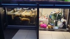 Sprzedam akwarium optiwhite 882 l (180x70x70) + sump 192 l