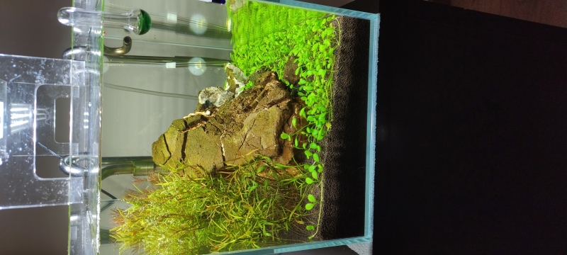 IMG_20220222_173630.jpg