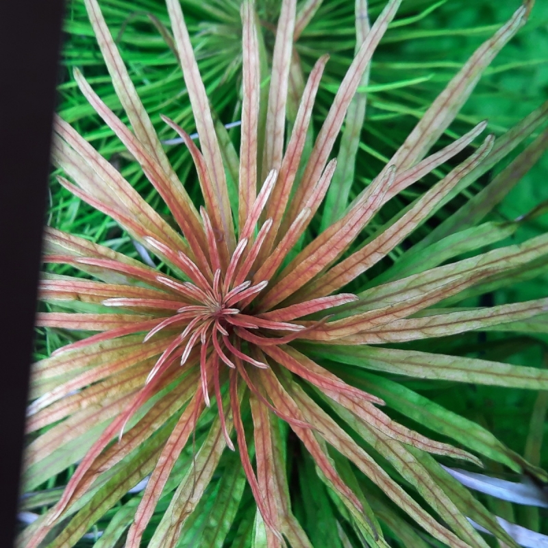 20220228_163040.jpg
