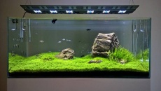 Sprzedam lampę maxspect razor 300W 8000K