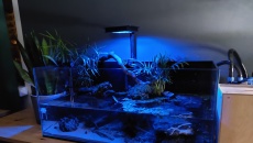 074l - Aquaterrarium - Rio Xingu -   lebson