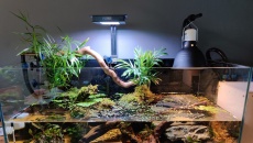 074l - Aquaterrarium - Rio Xingu -   lebson