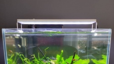 Oświetlenie do kostki 50l